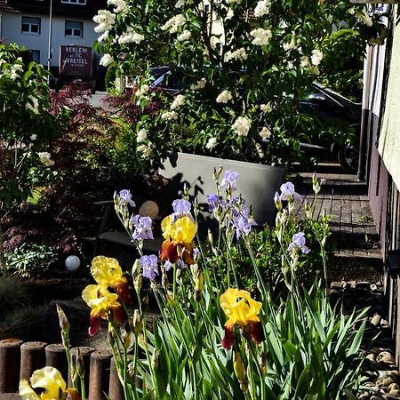 Ferienwohnung Jungbaer - Die Wohlfuehl-Adresse Im Stangenwald Санкт Ингберт Екстериор снимка