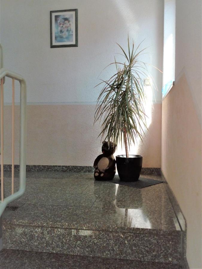 Ferienwohnung Jungbaer - Die Wohlfuehl-Adresse Im Stangenwald Санкт Ингберт Екстериор снимка